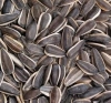 ur-high-quality-competitive-price-timely-shipment-favorable-trade-terms-and-high-reputations-Product-Type-Nut-Seed-Oil